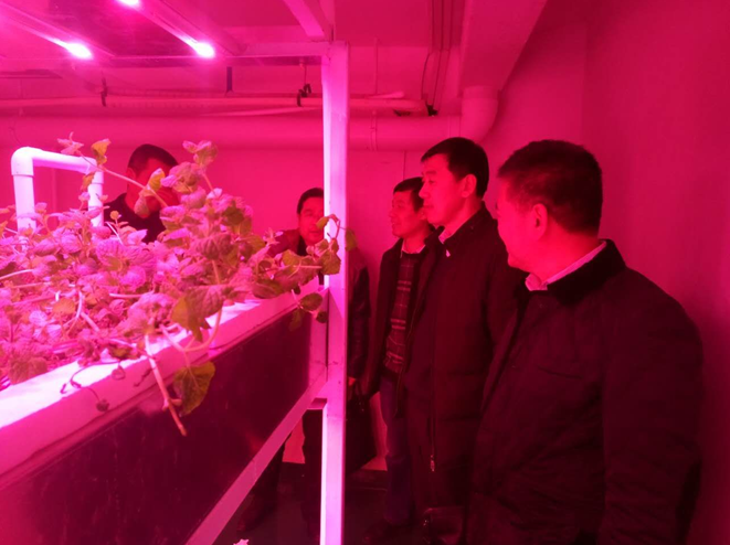 QQ图片20161230150505.png QQ图片20161230150505.png